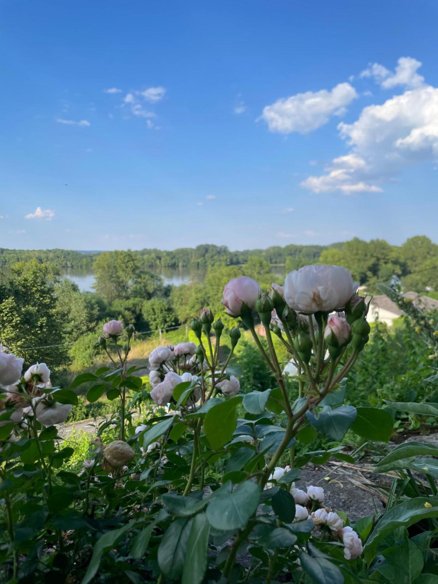 Gite Des Perreyeurs - Maison Troglodyte Avec Vue Sur Loire مونتسورو المظهر الخارجي الصورة